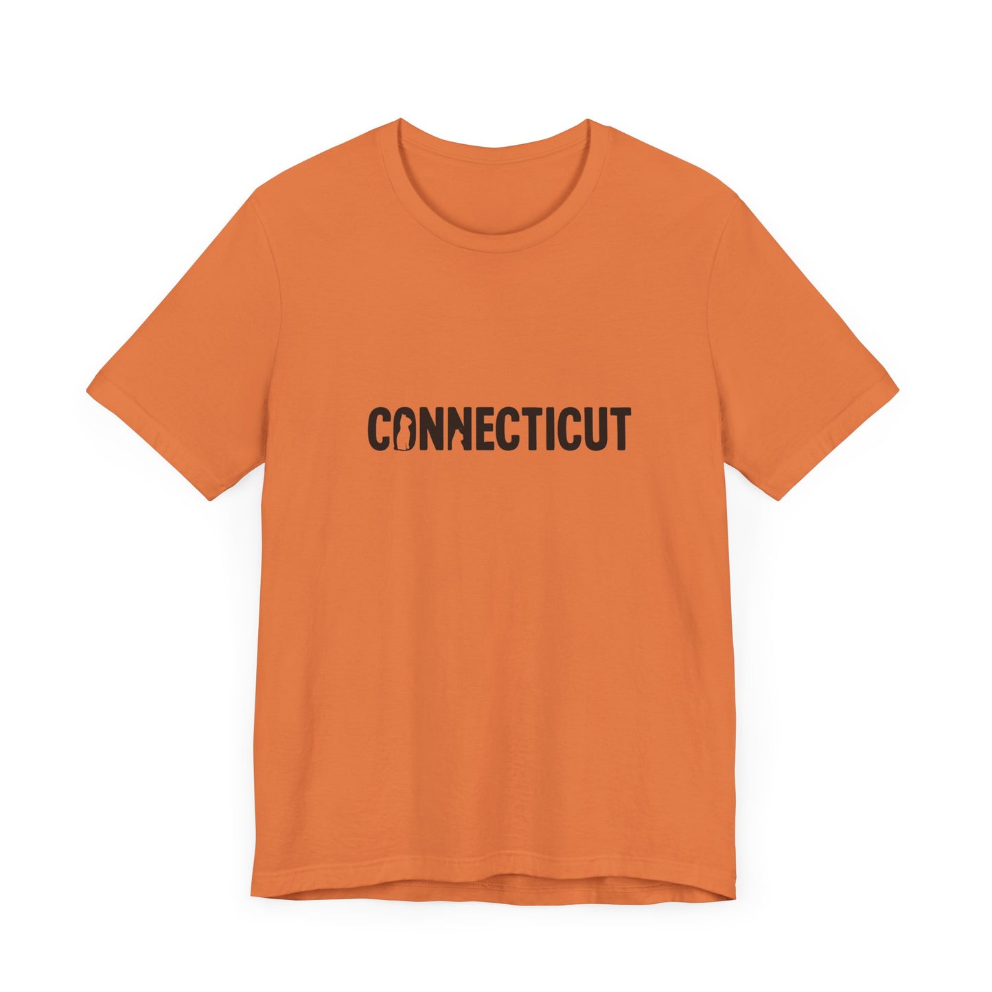 Connecticut cat letters Unisex Jersey Short Sleeve Tee