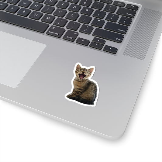 Laughing Kitten - Laptop Decal