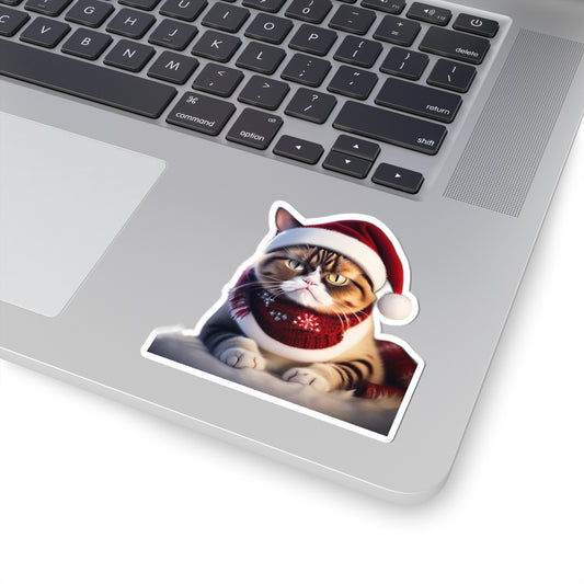 Crabby cat a25 – Funny Laptop Decal