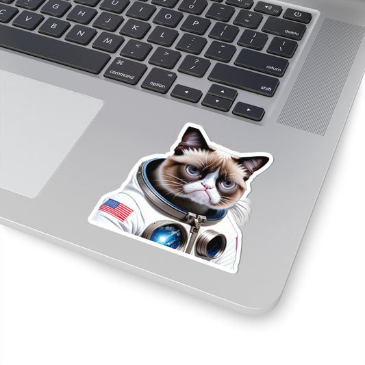 Crabby cat a23 – Funny Laptop Decal