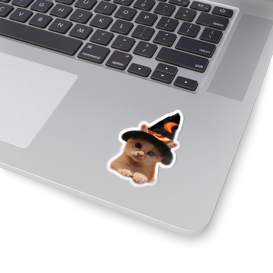 Orange Kitten Wizard - Laptop Decal