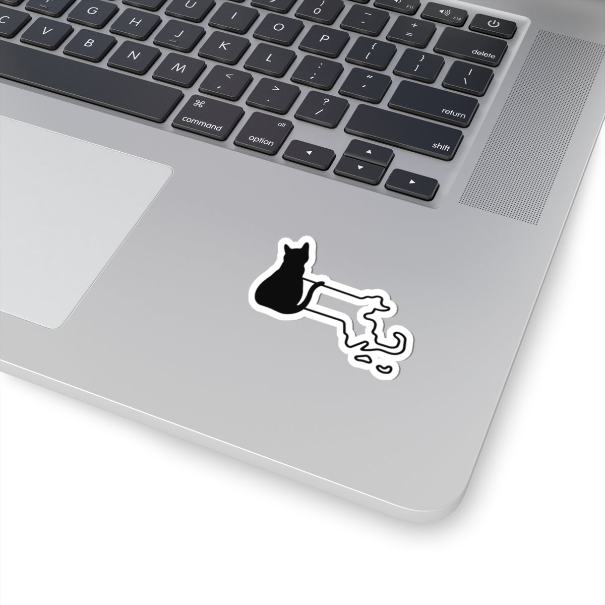 Massachusetts Cat Laptop Decal